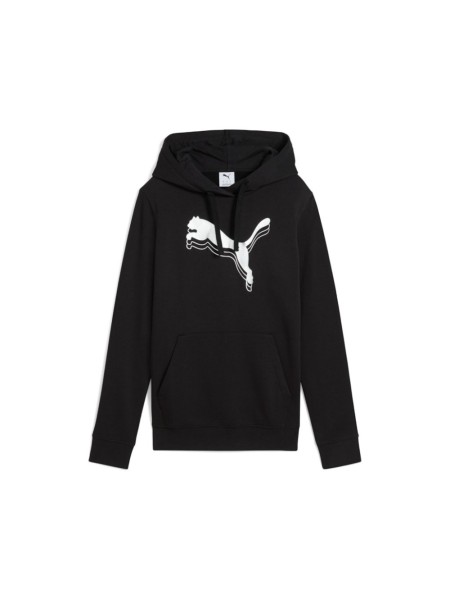 Ess Metallic Hoodie TR