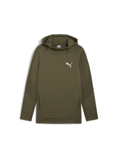 Evostripe Hoodie DK